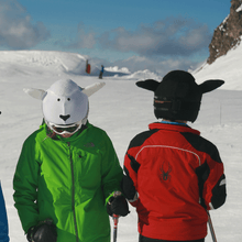 Load image into Gallery viewer, Coolcasc Animals Helmet Cover Black Sheep